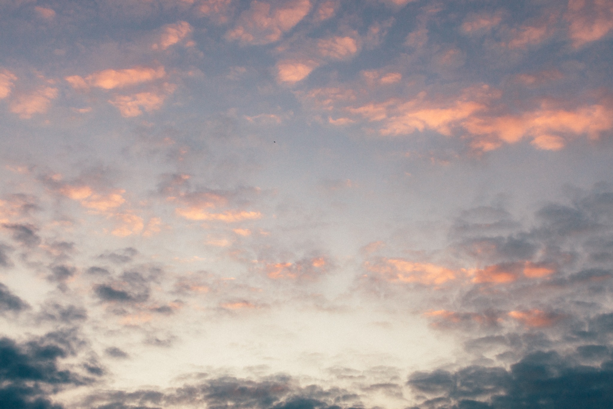 Soft pink clouds scattered across the evening sky