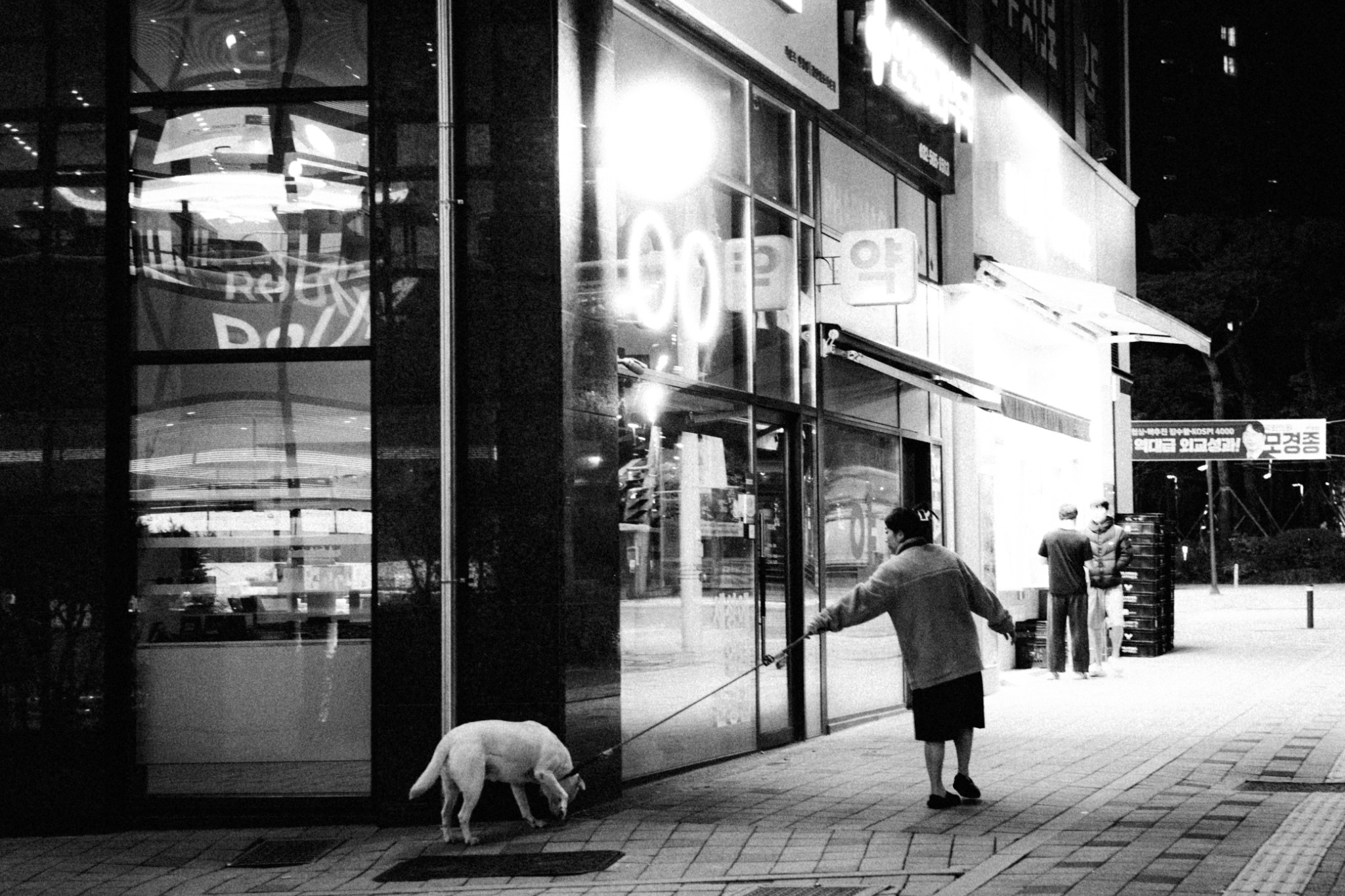 A pedestrian and a small dog outside illuminated shopfronts at night in black and white